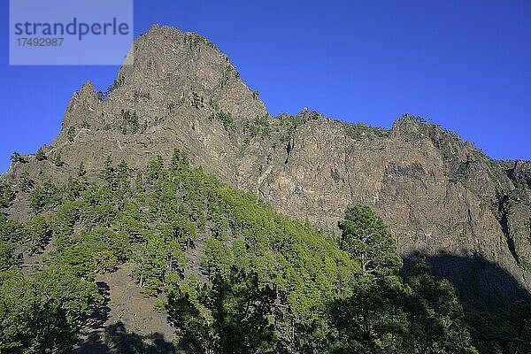 Felsszenerie der Caldera Taburiente vom Mirador de la Cumbrecita aus gesehen  La Palma  Spanien  Europa