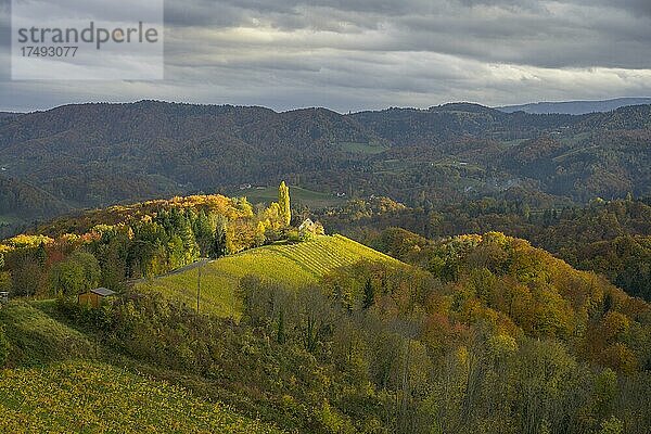 Sonnenspots auf der herbstlichen Landschaft  Glanz an der Weinstraße  Steiermark  Österreich  Europa