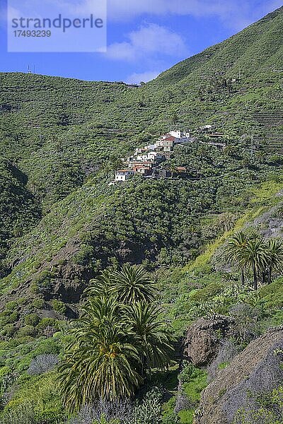 Abseits gelegener Siedlungsteil des Bergdorfes Masca Im Teno-Gebirge  Masca  Teneriffa  Spanien  Europa