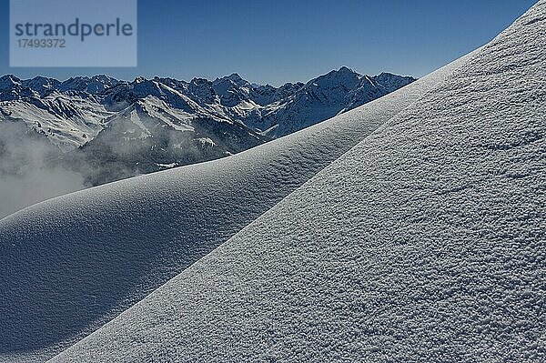 Schneefläche mit Allgäuer Alpen  Toreck  Riezlern  Kleinwalsertal  Vorarlberg  Österreich  Europa