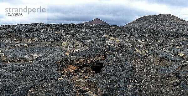 Typische Vulkanlandschaft bei La Restinga  Pahoehoe-Lava  El Hierro  Kanarische Inseln  Spanien  Europa