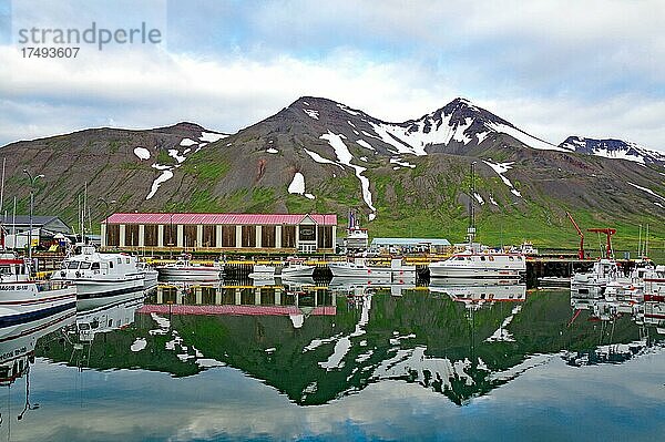 Fischerboote und Berge spiegeln sich im absolut ruhigen Hafenbecken  Siglufördur  Island  Europa