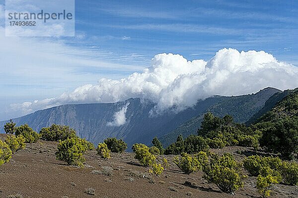 Ausblick auf El Golfo  Westküste  Wanderweg zum höchsten Punkt  Pico Malpaso  El Hierro  Kanarische Inseln  Spanien  Europa