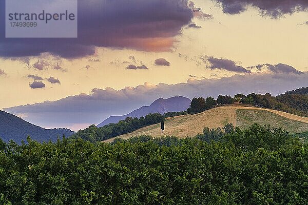 Landschaft bei Sonnenuntergang  Corinaldo  Marken  Italien  Europa