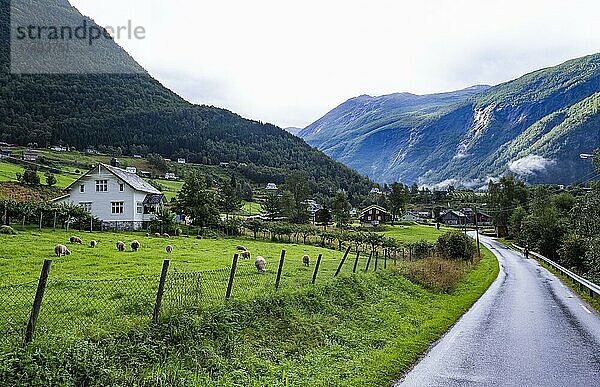 Haus am Moerkridsvegen in Skjolden  Norwegen  Europa