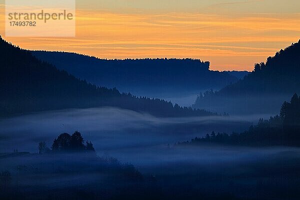 Morgendämmerung in einem Tal  Nebel  Wald  Egesheim  Naturpark Obere Donau  Baden-Württemberg  Deutschland  Europa