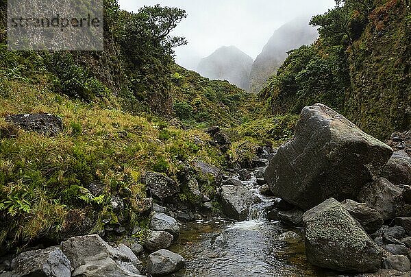 Flusslauf durch das nebelverhangene wildromantische Tal Vale das Lombadas  Serra de Aqua de Pau  Insel Sao Miguel  Azoren  Portugal  Europa