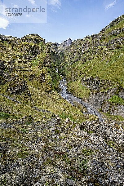 Berglandschaft mit Schlucht  Fluss im Múlagljúfur Canyon  Sudurland  Island  Europa