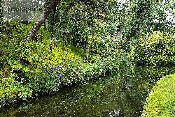 Botanischer Garten  Terra Nostra Park  Furnas  Insel Sao Miguel  Azoren  Portugal  Europa
