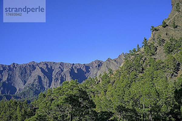 Felsszenerie der Caldera Taburiente vom Mirador de la Cumbrecita aus gesehen  La Palma  Spanien  Europa