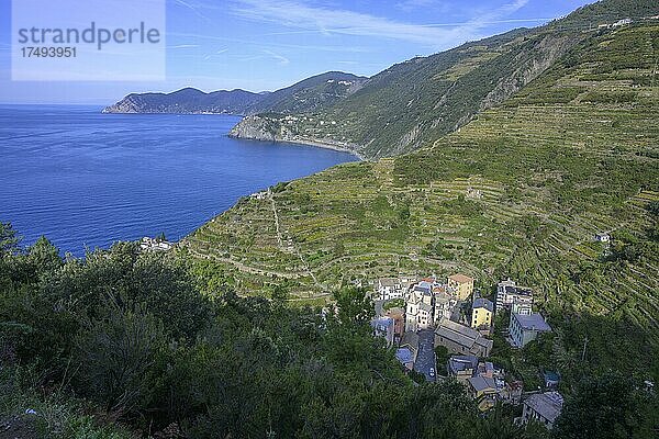 Blick zum Ort  Manarola  Provinz La Spezia  Italien  Europa