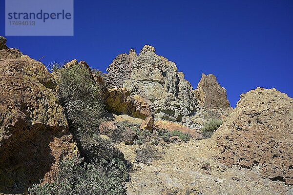 Bunte Felsen des Roques de Garcia  Nationalpark Las Canadas del Teide  La Orotava  Teneriffa  Spanien  Europa