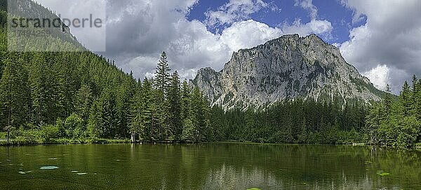 Kreuzteich dahinter der Pribitz  Tragöß-Sankt Katharein  Steiermark  Österreich  Europa