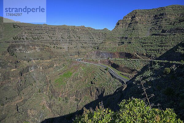 Blick vom Mirador de la Curva del Queso in den Barranco de Arure  Valle Gran Rey  La Gomera  Spanien  Europa