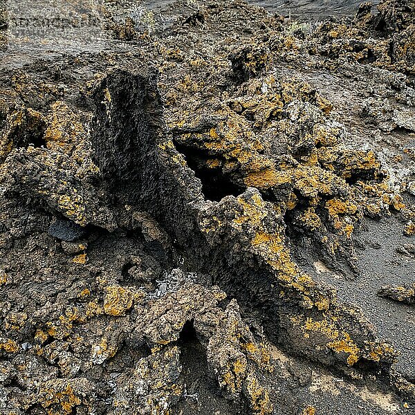 Pahoehoe-Lava  Detailaufnahme  El Hierro  Kanarische Inseln  Spanien  Europa