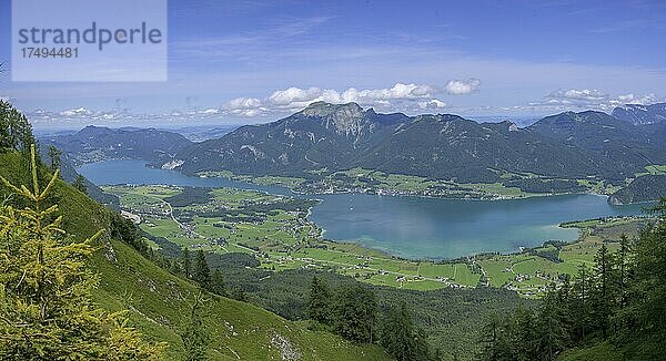 Blick auf den Wolfgangsee  Wanderung zur Bleckwand  Strobl  Salzburg  Österreich  Europa