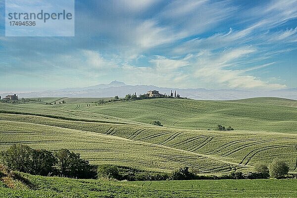 Podere Belvedere  einzelnes Gehöft  San Quirico d'Orcia  Val D'Orcia  Toskana  Italien  Europa