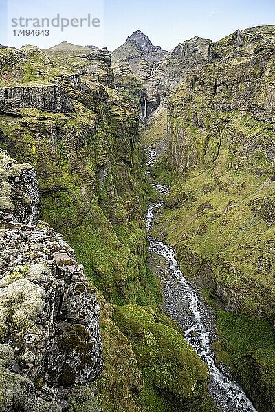 Berglandschaft mit Schlucht  Fluss im Múlagljúfur Canyon  Sudurland  Island  Europa
