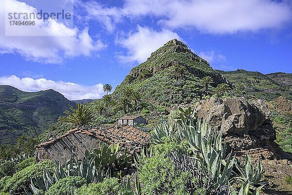 Alte Hütten  Degollada de Peraza  La Gomera  Spanien  Europa