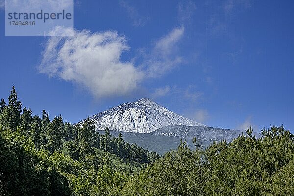 Schneebedeckte Teide  La Orotava  Teneriffa  Spanien  Europa