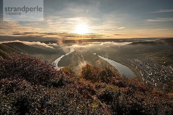 Blick über das Mosel Tal bei Bremm am Morgen im Herbst. Sonnenaufgang über der Moselschleife  Rheinland Pfalz  Deutschland  Europa