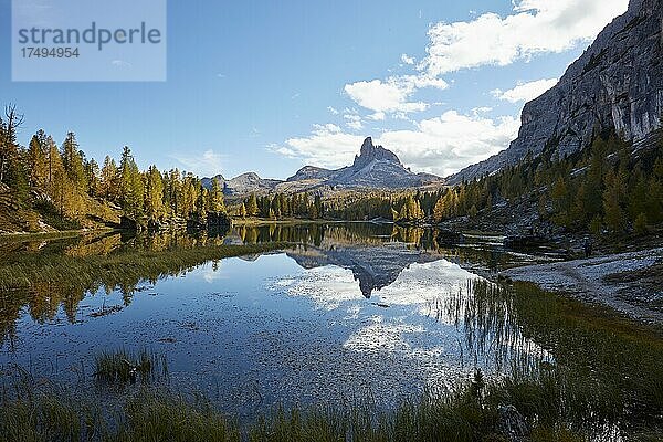 Monte Pelmo spiegelt sich in Bergsee Lago Federa mit herbstlich gefärbten Lärchen  Dolomiten  Provinz Trentino  Italien  Europa