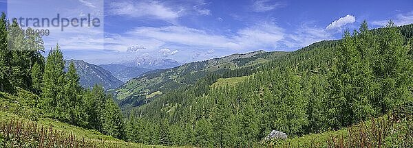 Blick von der Großwildalm zum Hochkönig  Großarl  Salzburg  Österreich  Europa