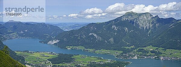 Blick auf den Wolfgangsee mit Ort St. Wolfgang und Schafberg  Wanderung zur Bleckwand  Strobl  Salzburg  Österreich  Europa