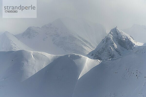 Gipfelgrat der Höferspitze mit Bergen im Nebel Baad  Kleinwalsertal  Vorarlberg  Österreich  Europa