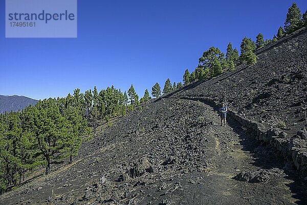 Wanderung von el Pilar zum Vulkan Birigoyo  El Paso  La Palma  Spanien  Europa