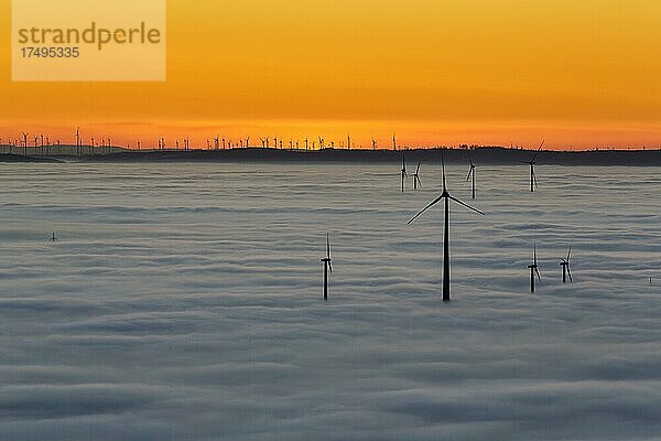 Windräder ragen aus Wolkendecke  Silhouetten nach Sonnenuntergang  Köterberg  Lügde  Weserbergland  Nordrhein-Westfalen  Deutschland  Europa