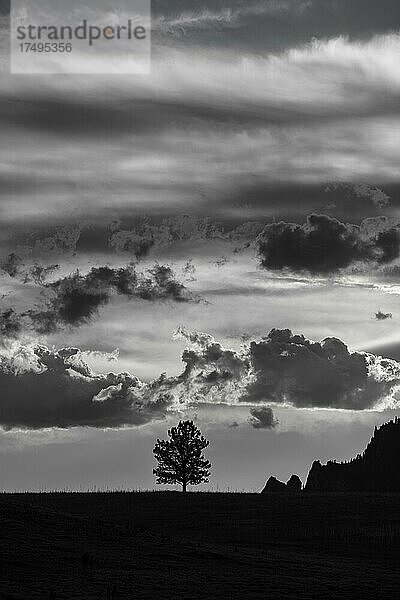 Black and White  Silhouetten am Flat Irons Vista Trail  Boulder  Colorado  USA  Nordamerika