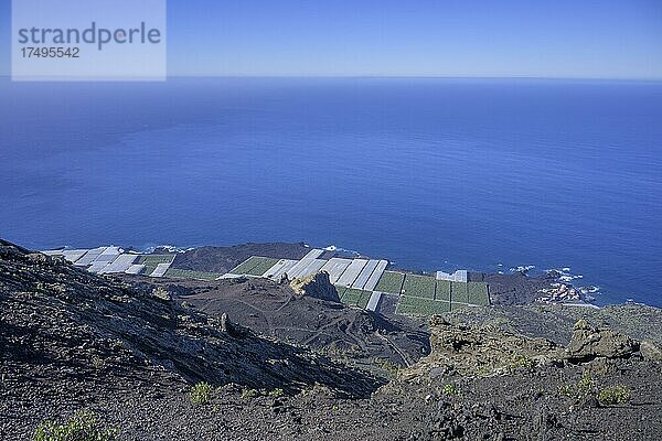 Blick vom Vulkankegel San Antonio auf Bananenplantagen  Fuencaliente  La Palma  Spanien  Europa