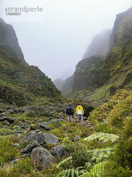 Wanderer im nebelverhangenen wildromantischen Tal Vale das Lombadas  Serra de Aqua de Pau  Insel Sao Miguel  Azoren  Portugal  Europa