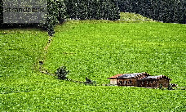 Landschaft am Jenner im Berchtesgadener Land  Berchtesgaden  Bayern  Deutschland  Europa