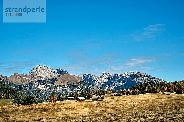 Seiseralm  Südtirol  Italien  Kastelruth  Südtirol  Italien  Europa