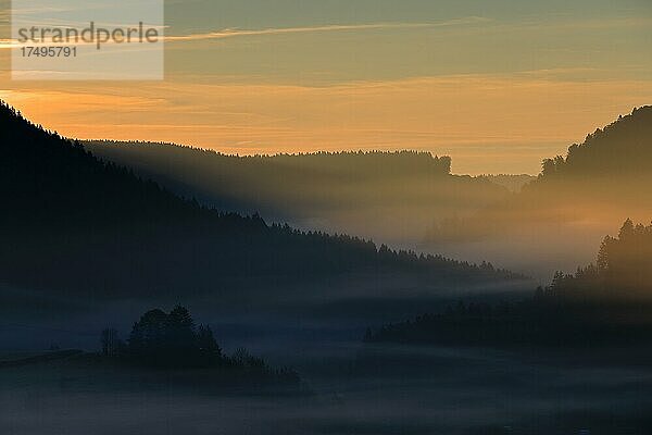 Sonnenaufgang in einem Tal  Nebel  Wald  Egesheim  Naturpark Obere Donau  Baden-Württemberg  Deutschland  Europa