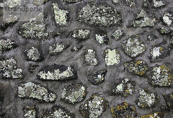 Steinfassade bei Faial da Terra  Insel Sao Miguel  Azoren  Portugal  Europa