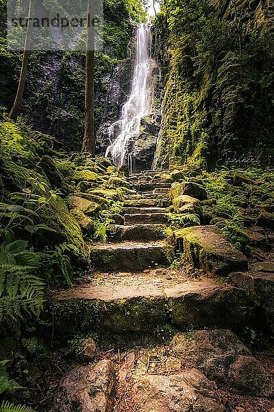 Der Burgbachwasserfall mitten im grünen Wald. Wasserfall mit Steinstufen in Schapbach  Schwarzwald  Baden-Württemberg  Deutschland  Europa