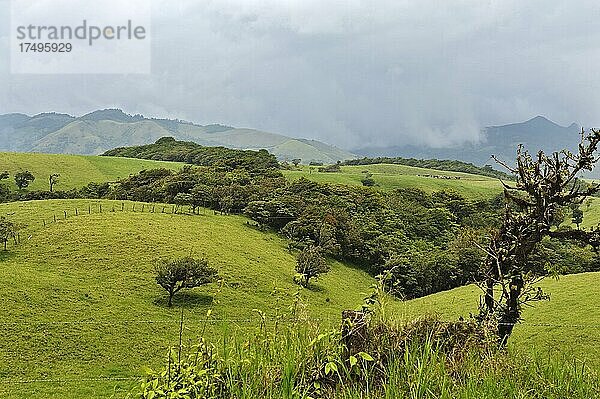 Typische Landschaft für Monte-Verde  Provinz Alajuela  Costa Rica  Mittelamerika