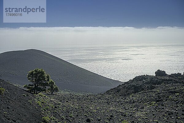 Wanderung zum Vulkan Teneguia  Fuencaliente  La Palma  Spanien  Europa