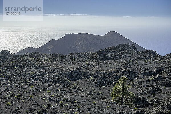 Wanderung zum Vulkan Teneguia  Fuencaliente  La Palma  Spanien  Europa