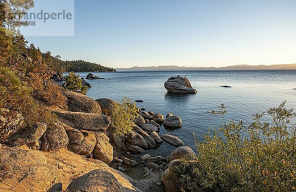 Bonsai Rock  kleiner Baum auf einem Fels im Wasser  Runde Steine im Wasser  Ufer am See Lake Tahoe im Abendlicht  Sand Harbor Beach  Sand Harbor State Park  Kalifornien  USA  Nordamerika