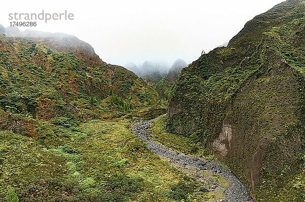 Drohnenaufnahme  Flusslauf durch das nebelverhangene wildromantische Tal Vale das Lombadas  Serra de Aqua de Pau  Insel Sao Miguel  Azoren  Portugal  Europa