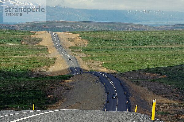 Wellige Straße ohne Verkehr verläuft in die Unendlichkeit  kein Verkehr  Myvatn  Island  Europa