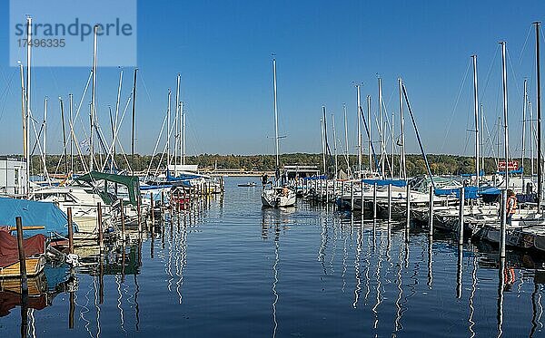 Segelboote im Hafen am Großen Wannsee  Berlin  Deutschland  Europa