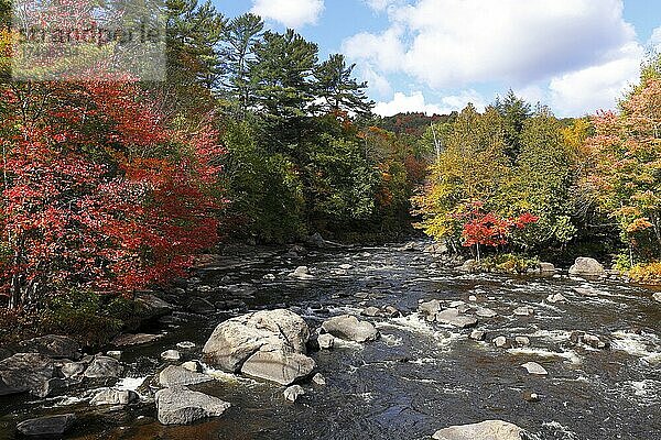 Fluss  Herbst am Riviere du Nord  Provinz Quebec  Kanada  Nordamerika