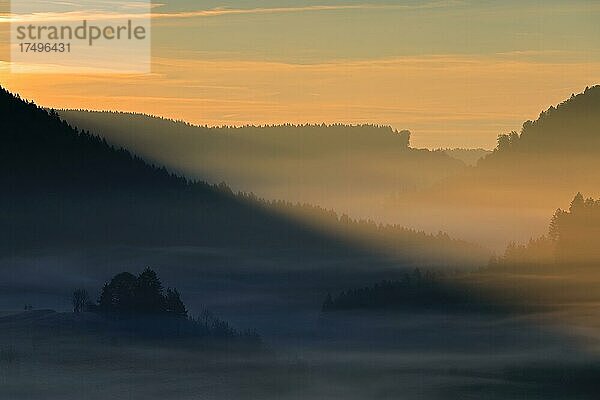 Sonnenaufgang in einem Tal  Nebel  Wald  Egesheim  Naturpark Obere Donau  Baden-Württemberg  Deutschland  Europa