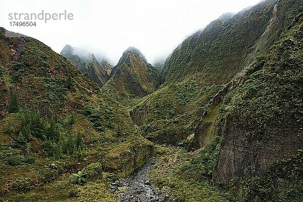 Drohnenaufnahme  Flusslauf durch das nebelverhangene wildromantische Tal Vale das Lombadas  Serra de Aqua de Pau  Insel Sao Miguel  Azoren  Portugal  Europa