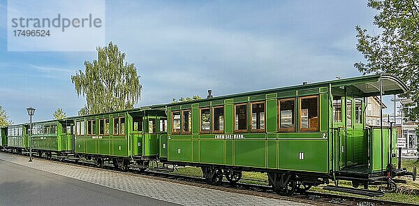 Grüne Waggons der Chiemsee Eisenbahn  Chiemsee  Bayern  Deutschland  Europa